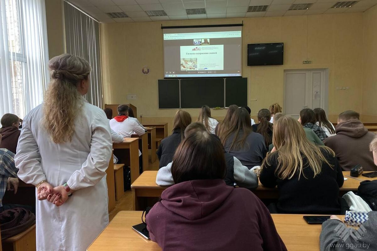 Международное сотрудничество в сфере образования