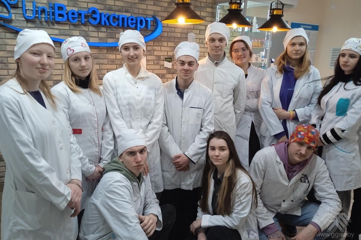 Факультет ветеринарной медицины сегодня