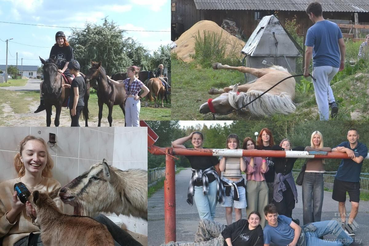 Факультет ветеринарной медицины сегодня