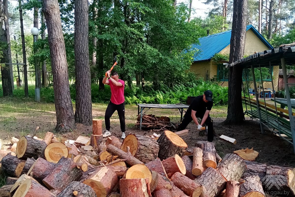 Руслан Ровбуть и Владислав Сацук. Заготовка дров – это хороший фитнес
