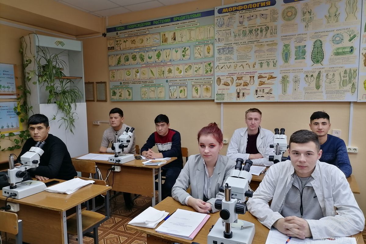 Группа студентов, в которой присутствуют, студенты из Узбекистана, в аудитории энтомологии
