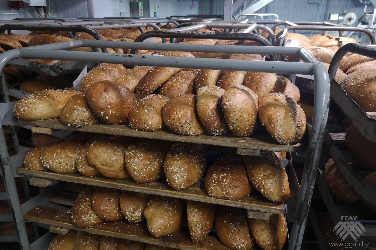 Хлеб, готовый к отгрузке

