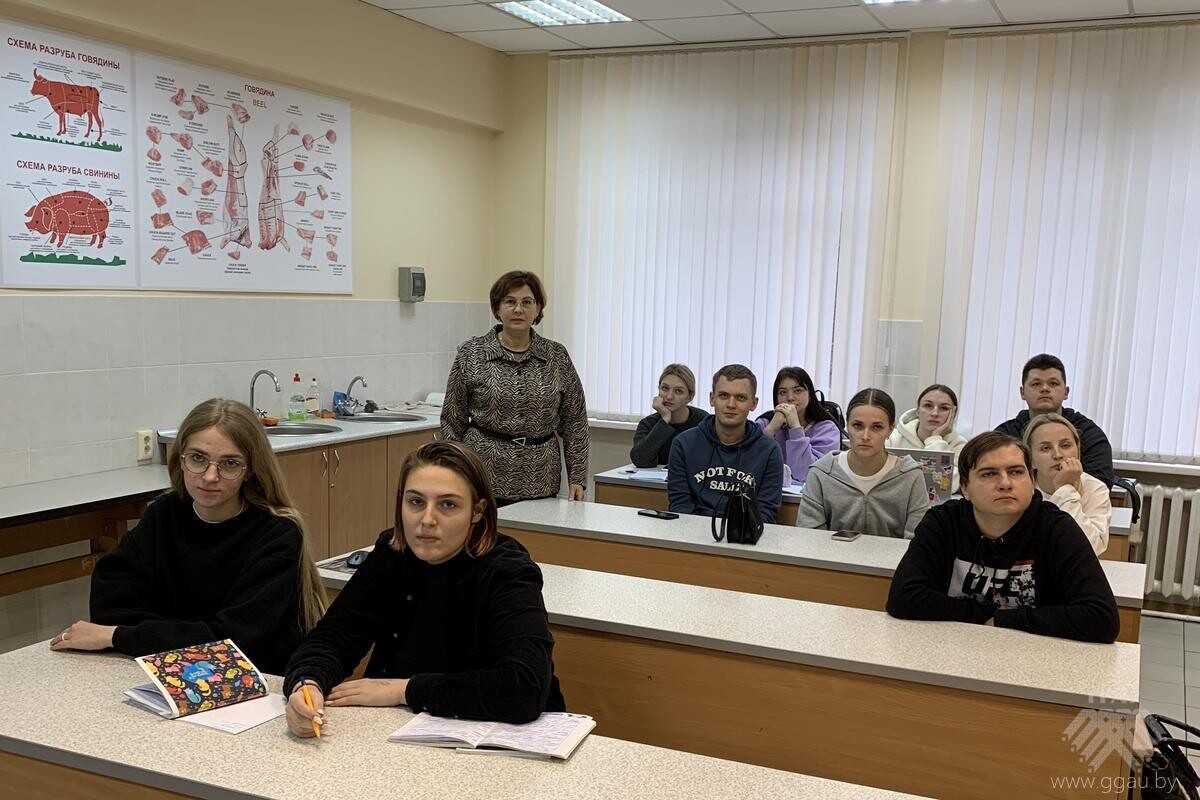 Особенности электоральной кампании