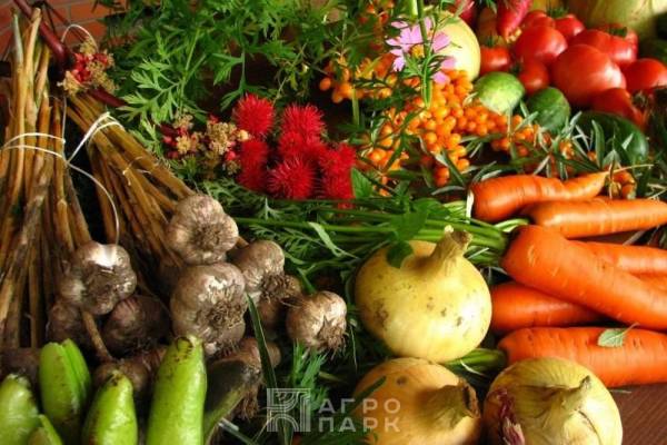 Биологическое и органическое земледелие
