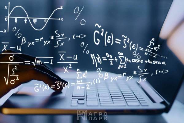 Применение экономико-математических методов в планировании деятельности организации АПК