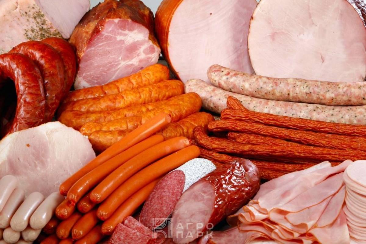 Разработка рецептур функциональных продуктов в мясоперерабатывающей промышленности