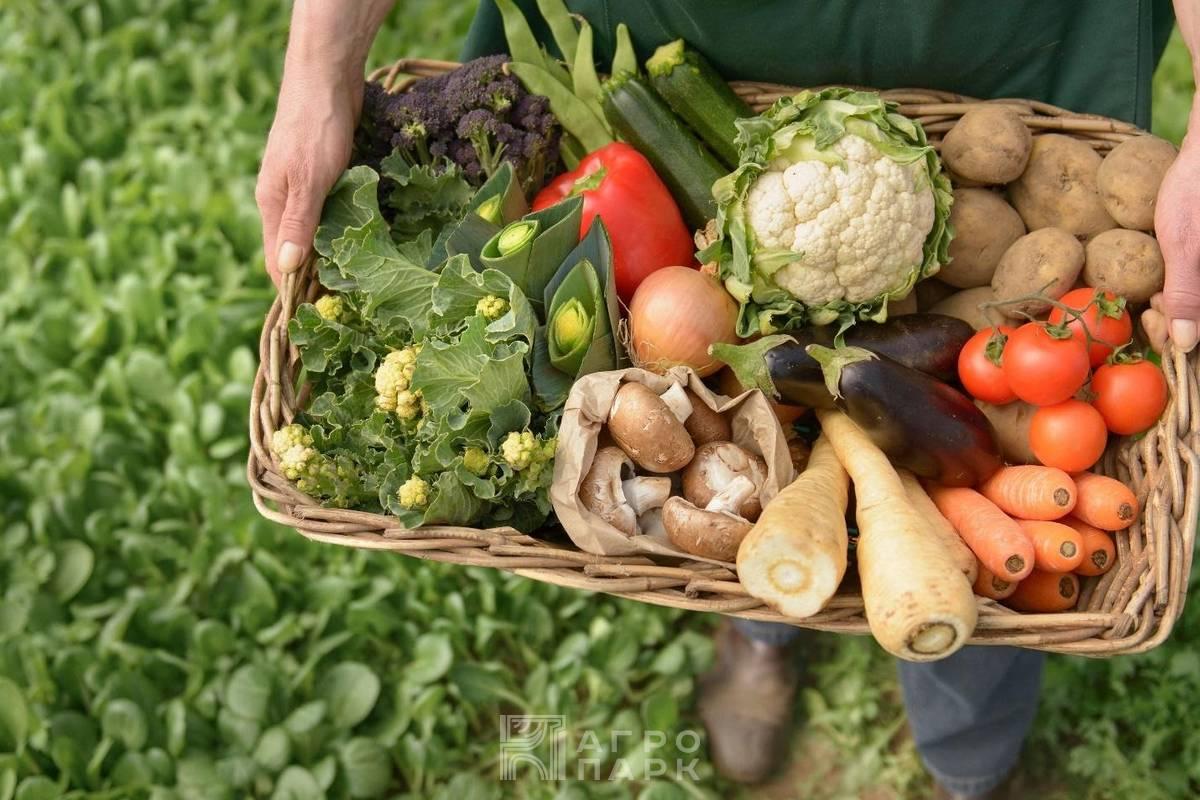 Получение органической (экологически чистой) продукции на своем участке