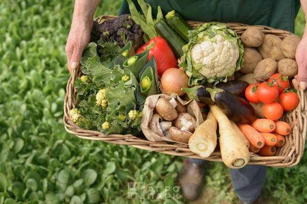Получение органической (экологически чистой) продукции на своем участке