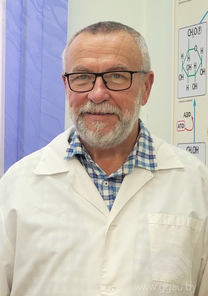 Хоха Александр Михайлович