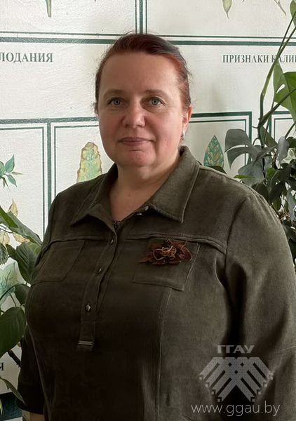 Живлюк Елена Константиновна