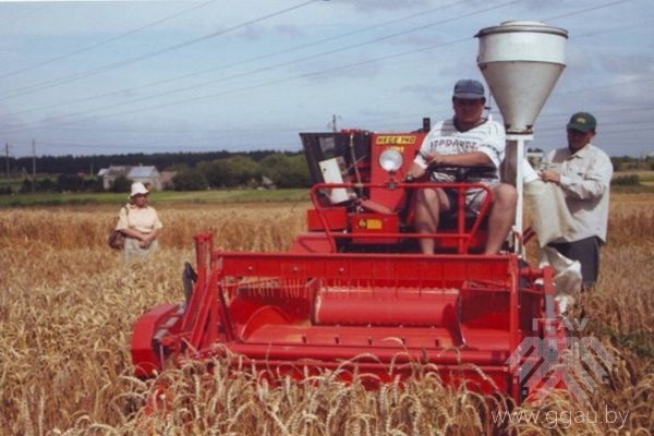 Проведение научных исследований по селекции озимой пшеницы