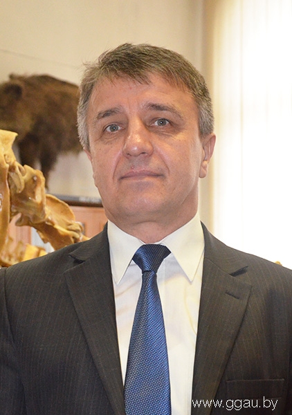 Грищук Сергей Васильевич