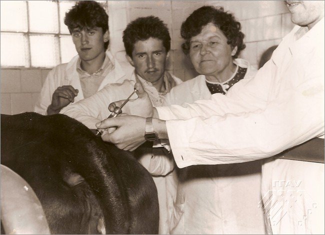 Лабораторные занятия на ферме, 1982 г.