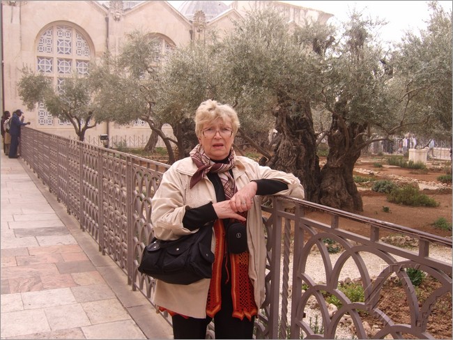 На фоне Гефсіманскага саду ў Ізраілі