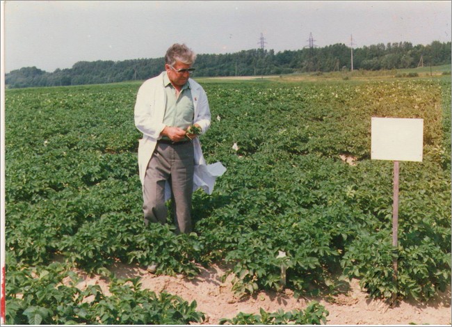 Николай Нилович Тимофеев на опытном поле НИИ защиты растений в посадках картофеля, защитой которого он занимался