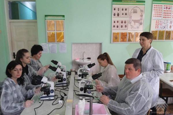 Трихинеллёз. Знать и предупредить