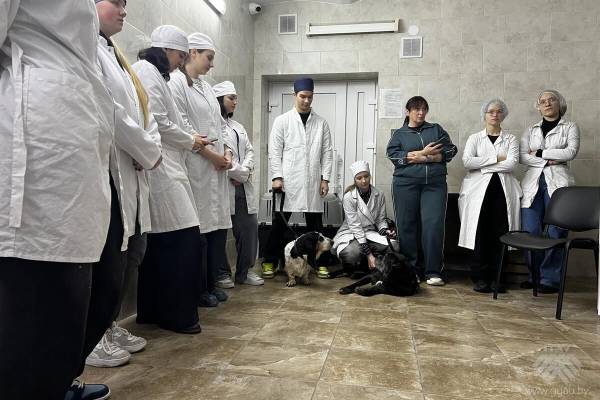 Ветеринарная клиника «UniВетЭксперт» в учебном процессе будущих ветеринаров