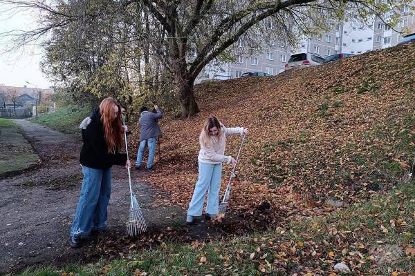 Благоустройство территории